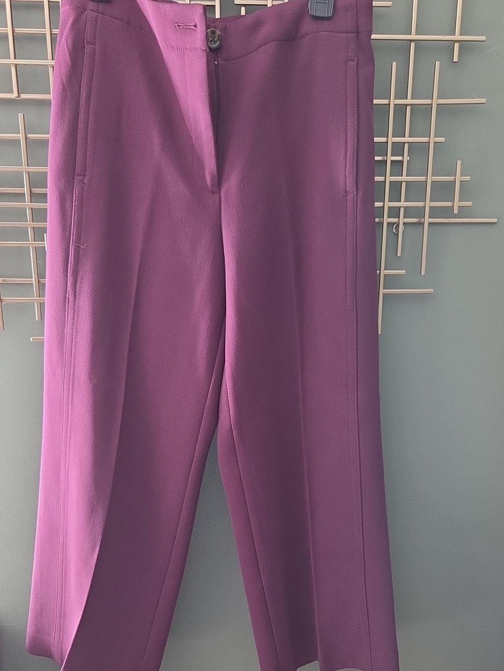 Women's Purple Straight-Leg Dress Pants